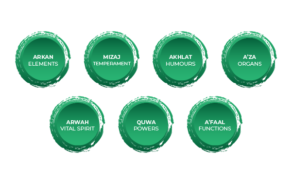 Seven interconnected green circles displaying the key aspects of Unani medicine: Arkan (Elements), Mizaj (Temperament), Akhlat (Humours), Aza (Organs), Arwah (Vital Spirit), Quwa (Powers), and Af'aal (Functions).