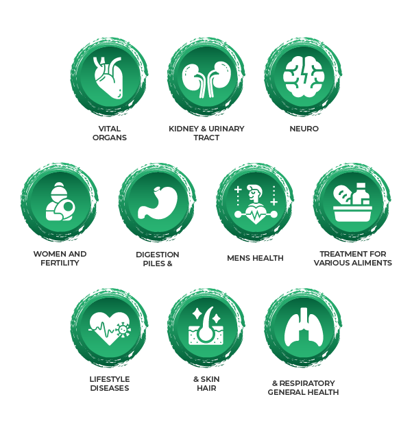 Icons representing various health categories: Vital Organs, Kidney & Urinary Tract, Neuro, Women and Fertility, Digestion, Men's Health, Treatment for Various Ailments, Lifestyle Diseases, Skin & Hair, and Respiratory General Health.